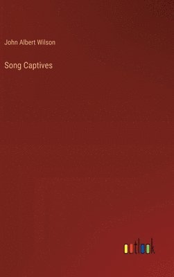 bokomslag Song Captives