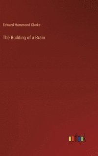 bokomslag The Building of a Brain