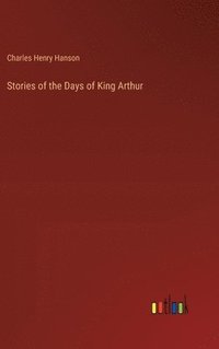 bokomslag Stories of the Days of King Arthur