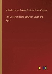 bokomslag The Caravan Route Between Egypt and Syria