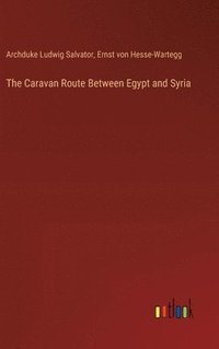 bokomslag The Caravan Route Between Egypt and Syria