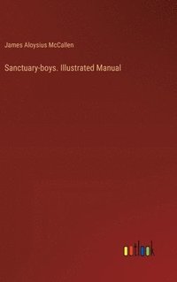 bokomslag Sanctuary-boys. Illustrated Manual