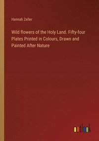 bokomslag Wild flowers of the Holy Land. Fifty-four Plates Printed in Colours, Drawn and Painted After Nature