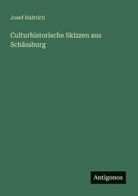 bokomslag Culturhistorische Skizzen aus Schässburg