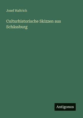 bokomslag Culturhistorische Skizzen aus Schssburg