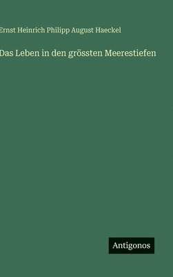 Leben in den grössten Meerestiefen