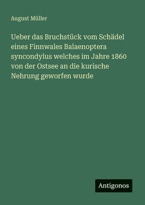 bokomslag Ueber das Bruchstück vom Schädel eines Finnwales Balaenoptera syncondylus welches im Jahre 1860 von der Ostsee an die kurische Nehrung geworfen wurde