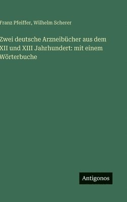 bokomslag Zwei deutsche Arzneibücher aus dem XII und XIII Jahrhundert: mit einem Wörterbuche