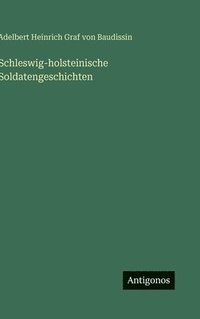 bokomslag Schleswig-holsteinische Soldatengeschichten