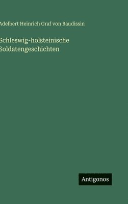 bokomslag Schleswig-holsteinische Soldatengeschichten