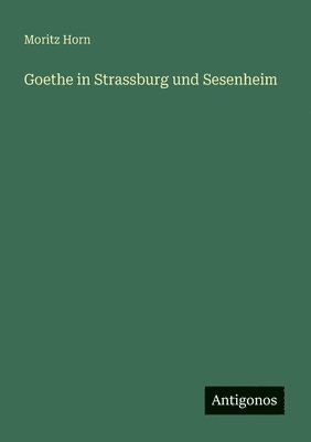 bokomslag Goethe in Strassburg und Sesenheim