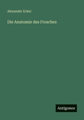 Anatomie des Frosches