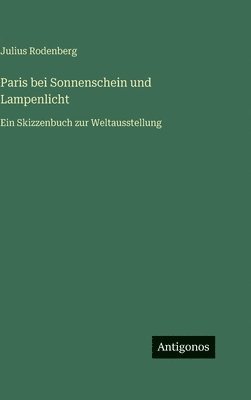 Paris bei Sonnenschein und Lampenlicht