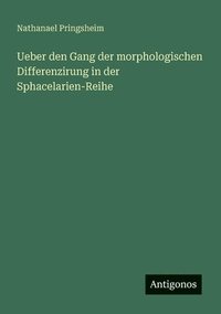 bokomslag Ueber den Gang der morphologischen Differenzirung in der Sphacelarien-Reihe