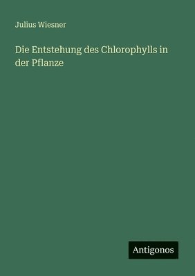 Entstehung des Chlorophylls in der Pflanze