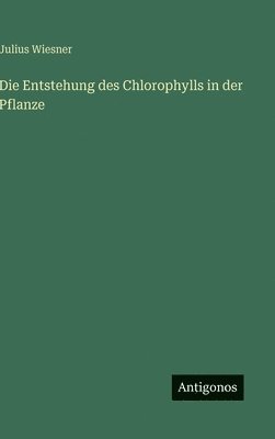 Entstehung des Chlorophylls in der Pflanze