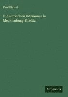 bokomslag Die slavischen Ortsnamen in Mecklenburg-Strelitz