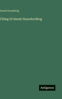 bokomslag Tillæg til dansk Haandordbog