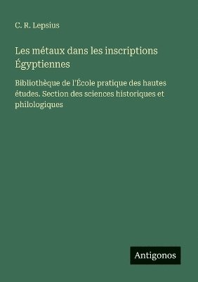 bokomslag Les mtaux dans les inscriptions gyptiennes