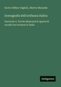 bokomslag Iconografia dell'avifauna italica: Fascicolo 2, Tavole illustranti le specie di uccelli che trovansi in Italia