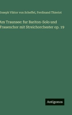 bokomslag Am Traunsee