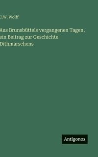 bokomslag Aus Brunsbttels vergangenen Tagen, ein Beitrag zur Geschichte Dithmarschens