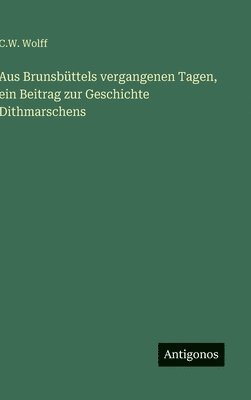 bokomslag Aus Brunsbüttels vergangenen Tagen, ein Beitrag zur Geschichte Dithmarschens