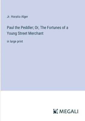 bokomslag Paul the Peddler; Or, The Fortunes of a Young Street Merchant