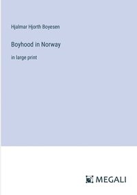 bokomslag Boyhood in Norway