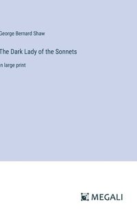 bokomslag Dark Lady of the Sonnets