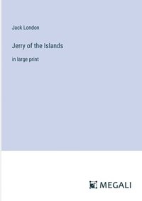 bokomslag Jerry of the Islands