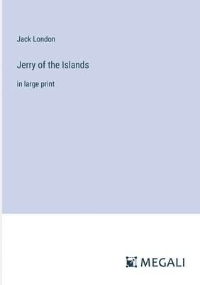 bokomslag Jerry of the Islands
