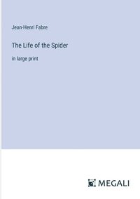 bokomslag Life of the Spider