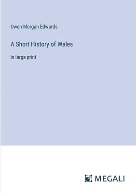 bokomslag A Short History of Wales