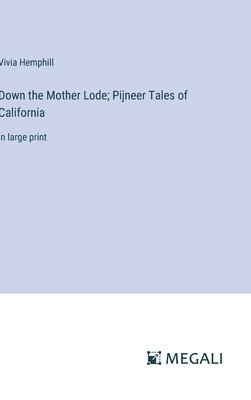 bokomslag Down the Mother Lode; Pijneer Tales of California