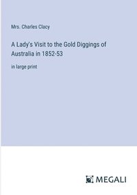 bokomslag Lady's Visit to the Gold Diggings of Australia in 1852-53