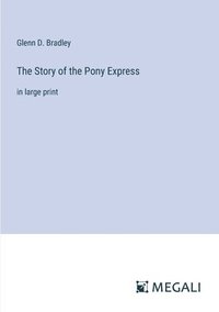 bokomslag Story of the Pony Express