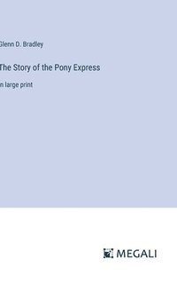bokomslag Story of the Pony Express