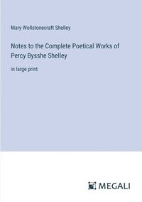 bokomslag Notes to the Complete Poetical Works of Percy Bysshe Shelley