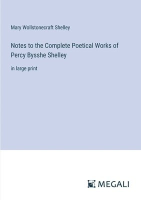 bokomslag Notes to the Complete Poetical Works of Percy Bysshe Shelley