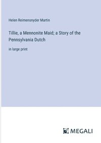 bokomslag Tillie, a Mennonite Maid; a Story of the Pennsylvania Dutch