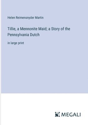 Tillie, a Mennonite Maid; a Story of the Pennsylvania Dutch