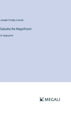 bokomslag Galusha the Magnificent