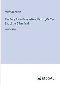 bokomslag The Pony Rider Boys in New Mexico; Or, The End of the Silver Trail