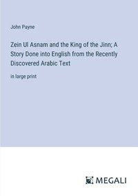 bokomslag Zein Ul Asnam and the King of the Jinn; A Story Done into English from the Recently Discovered Arabic Text