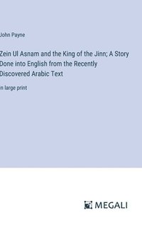 bokomslag Zein Ul Asnam and the King of the Jinn; A Story Done into English from the Recently Discovered Arabic Text