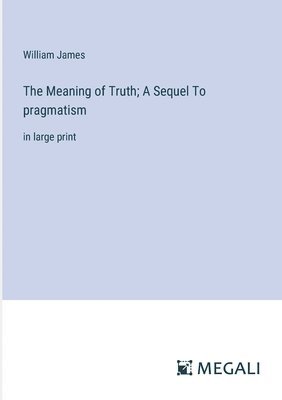 bokomslag Meaning of Truth; A Sequel To pragmatism