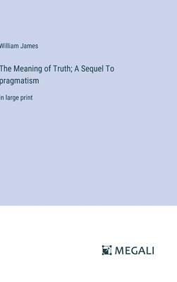 bokomslag Meaning of Truth; A Sequel To pragmatism