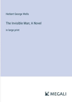 bokomslag Invisible Man; A Novel