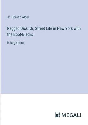 bokomslag Ragged Dick; Or, Street Life in New York with the Boot-Blacks